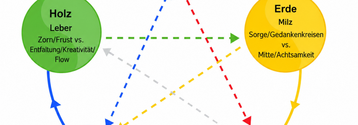 TCM & Psyche: Die in der Grafik dargestellten Wandlungsphasen („Elemente“) nebst zuständigen Organen und Emotionen zeigen im Kreis den Entstehungszyklus, und die Pfeile durch die Mitte zeigen die Kontrollfunktionen. (Was davon jeweils für Dich persönlich tatsächlich relevant ist zu wissen, ist dann Thema in der eigenen TCM-Behandlung…) QiHai TCM & QiGong Köln - Nicola Maureder